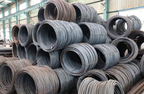 Carbon Spring Galvanized Metal Wire Rod 50mm Coated Rope ISO 9001
